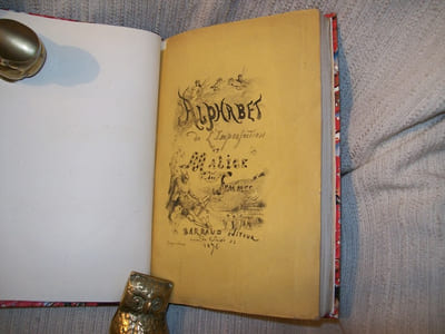 ALPHABET DE L'IMPERFECTION ET MALICE DES FEMMES reveu, corrigé et augmenté d'un friand dessert et de plusieurs histoires pour les courtisans et partisans de la femme mondaine. Dédié à la plus mauvaise du monde.