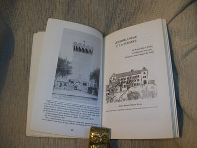 CRIMES ET MYSTERES EN PROVENCE. Tome 1: le Lubéron.
