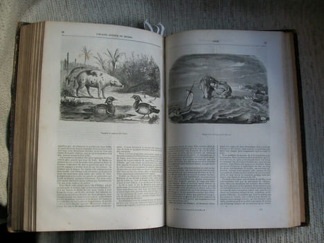 VOYAGES EN AMERIQUE. VOYAGES AUTOUR DU MONDE ET EN OCEANIE.. ALBERT-MONTEMONT