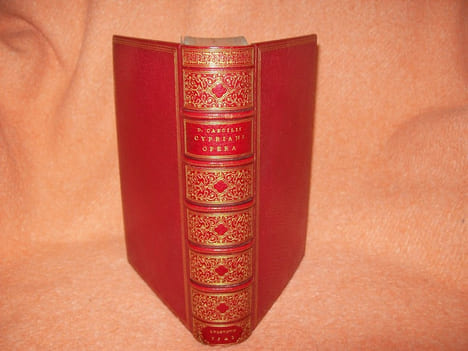 D. CAECILII CYPRIANI EPISCOPI CARTHAGINIENSIS ET MARTYRIS OPERA. Alter tomus operum D. Caecilii Cypriani quorum catalogum cersa pagella reperies.. ...
