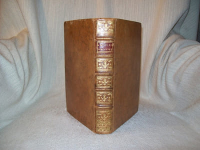AMUSEMENS PHILOSOPHIQUES SUR DIVERSES PARTIES DES SCIENCES et principalement de la Physique et des Mathématiques.