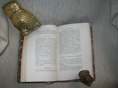 LES ECCLESIASTIQUES DE FRANCE, leur nombre, celuy des Religieux et des Religieuses, le temps de leur établissement, ce dont ils subsistent et à quoy ils servent.