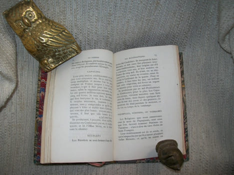 LES ECCLESIASTIQUES DE FRANCE, leur nombre, celuy des Religieux et des Religieuses, le temps de leur établissement, ce dont ils subsistent et à quoy ...
