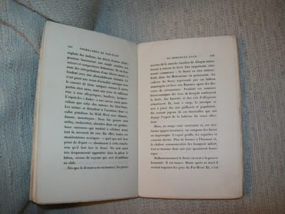 PROMENADES AU FAR WEST. 3e édition.