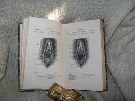 PHYSIOLOGIE de la génération de l'homme et des principaux êtres vivants.. LE BON Gustave