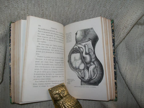 PHYSIOLOGIE de la génération de l'homme et des principaux êtres vivants.. LE BON Gustave
