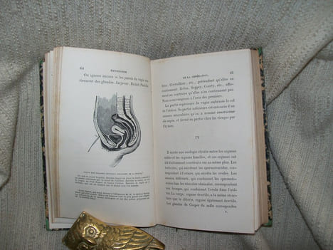 PHYSIOLOGIE de la génération de l'homme et des principaux êtres vivants.. LE BON Gustave