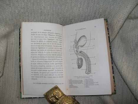 PHYSIOLOGIE de la génération de l'homme et des principaux êtres vivants.. LE BON Gustave