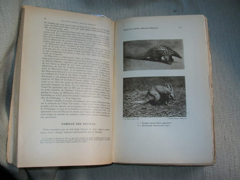 FAUNE DU CENTRE AFRICAIN FRANCAIS (mammifères et oiseaux). Encyclopédie biologique. 2e édition.. MALBRANT René
