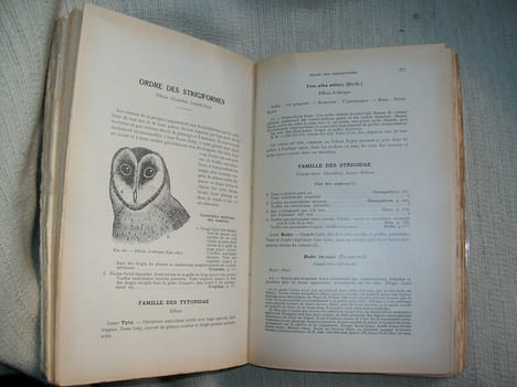 FAUNE DU CENTRE AFRICAIN FRANCAIS (mammifères et oiseaux). Encyclopédie biologique. 2e édition.. MALBRANT René