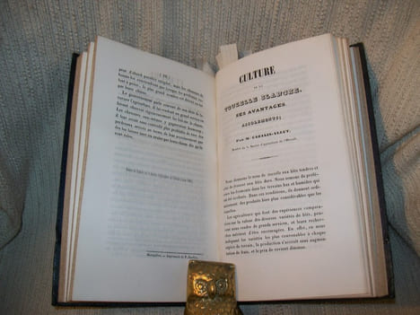 MEMOIRES SUR L'AGRICULTURE, LA VITICULTURE ET L'OENOLOGIE.. CAZALIS-ALLUT