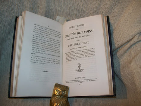 MEMOIRES SUR L'AGRICULTURE, LA VITICULTURE ET L'OENOLOGIE.. CAZALIS-ALLUT