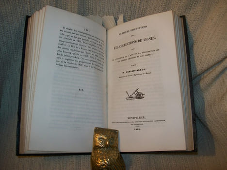 MEMOIRES SUR L'AGRICULTURE, LA VITICULTURE ET L'OENOLOGIE.. CAZALIS-ALLUT