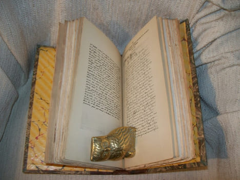 UNE FAMILLE attachée à la Maison de Louis XIII et sa descendance.. LENNEL de la FARELLE