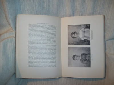 NOTES SUR LA FAMILLE AUBERT de Genève originaire de Crest en Dauphiné 1530-1908.