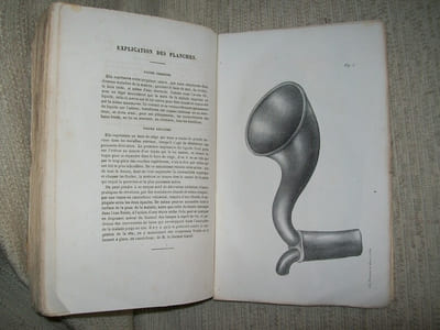 DU VERITABLE MODE D'ACTION DES EAUX DE MER en particulier des eaux thermo-minérales et de l'eau simple en général. Hydrothérapie générale.