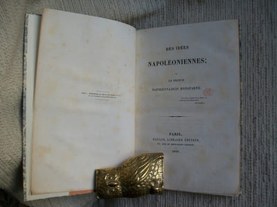 DES IDEES NAPOLEONIENNES.