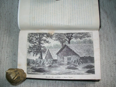 L'AFRIQUE EQUATORIALE. Gabonais, Pahouins, Gallois. 3e édition.