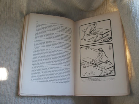 LA TECHNIQUE MODERNE DU BOIS GRAVE et les procédés anciens des xylographes du XVIe siècle et des Maîtres Graveurs Japonais, recueillis et mis à la ...