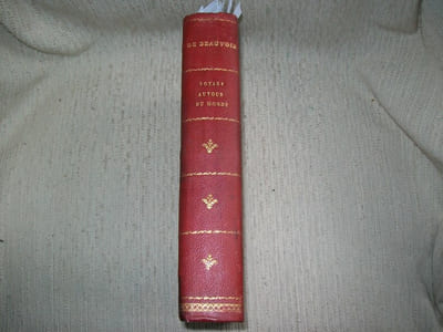 VOYAGE AUTOUR DU MONDE. Australie, Java, Siam, Ca,ton, Pékin, Yeddo, San Francisco.