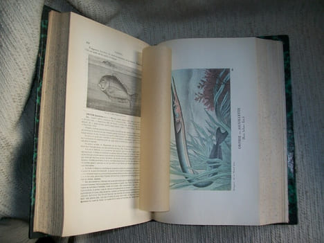 LA PECHE ET LES POISSONS dictionnaire général des pêches. Accompagné d'un supplément par Ed Renoir, Ryvez et Lucien Jouenne.. LA BLANCHERE Henri de