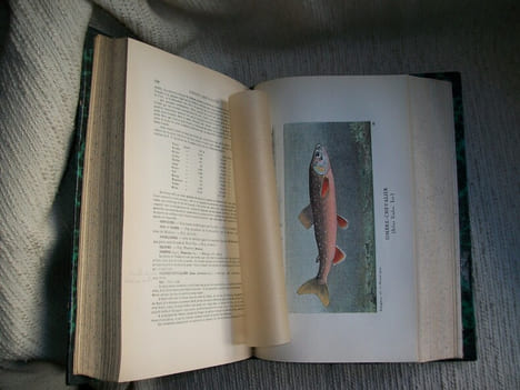 LA PECHE ET LES POISSONS dictionnaire général des pêches. Accompagné d'un supplément par Ed Renoir, Ryvez et Lucien Jouenne.. LA BLANCHERE Henri de