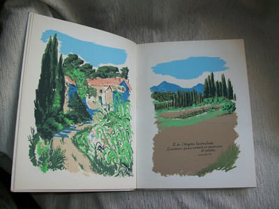 PROVENCE.