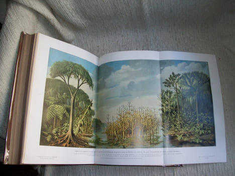 L'UNIVERS ET L'HUMANITE histoire des différents systèmes appliqués à l'étude de la nature, utilisation des forces naturelles au service des Peuples. ...