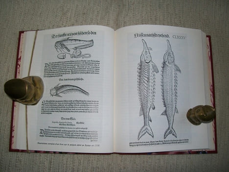 LE CAVIAR. Traduit de l'allemand par Dominique Kugler.. GODECKEN Horst