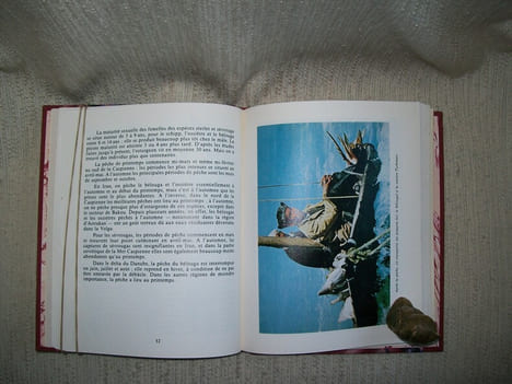 LE CAVIAR. Traduit de l'allemand par Dominique Kugler.. GODECKEN Horst