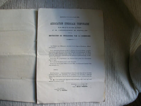 ASSOCIATION SYNDICALE Temporelle de la Vallée de la Rive Droite de la Vidourle et de l'arrondissement de Montpellier pour la destruction du Phylloxéra ...
