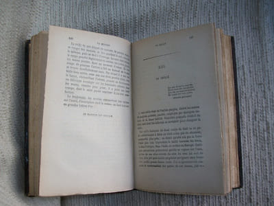 LE CHASSEUR AU CHIEN D'ARRET contenant les habitudes, les ruses du gibier, l'art de le chercher et de le tirer, le choix des armes, l'éducation des chiens, leurs maladies etc.