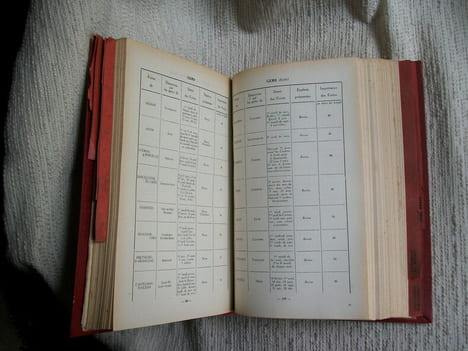 ANNUAIRE DE LA CHAMBRE SYNDICALE DES MARCHANDS DE BESTIAUX de France 1931.. undefined