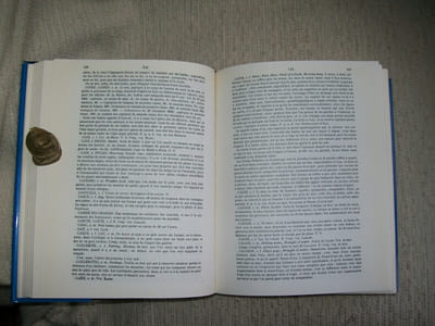 DICTIONNAIRE DE LA MARINE A VOILE.