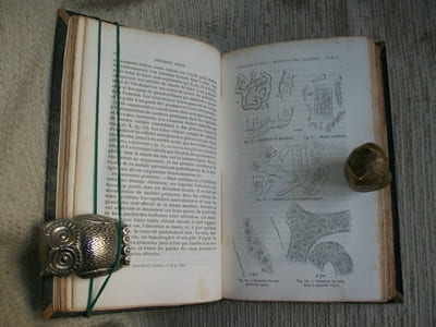 DE L'URINE des dépôts urinaires et des calculs, de leur composition chimique; de leurs caractères physiologiques et pathologiques et des indications thérapeutiques qu'ils fournissent dans le traitement des maladies. Traduit de l'anglais sur la seconde édition et annoté par Auguste Ollivier et Georges Bergeron.