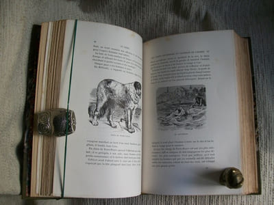 LE CHIEN son histoire, ses exploits et ses aventures.