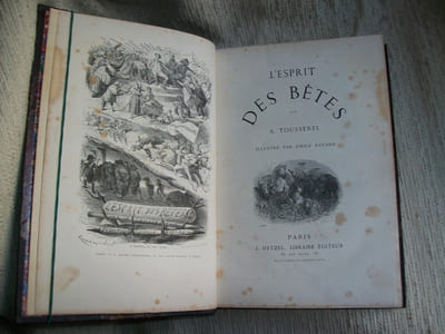 LA COMEDIE DES ANIMAUX histoire naturelle en action. 2e édition. L'ESPRIT DES BETES.