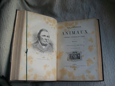 LA COMEDIE DES ANIMAUX histoire naturelle en action. 2e édition. L'ESPRIT DES BETES.