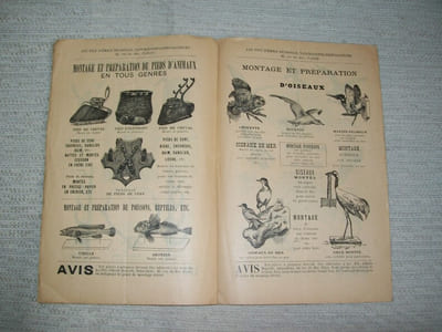 EMPAILLAGE MONTAGE ET PREPARATION D'ANIMAUX. Maison Emile Deyrolle, les Fils d'Emile Deyrolle, naturalistes préparateurs 46 Rue du Bac Paris.