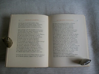 POESIES.