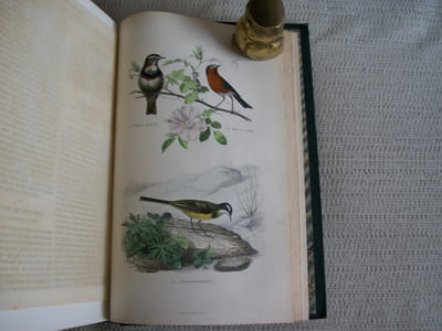OEUVRES COMPLETES de Buffon avec des extraits de Daubenton et la classification de Cuvier.