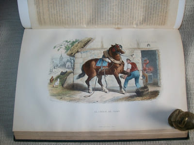 OEUVRES COMPLETES de Buffon avec des extraits de Daubenton et la classification de Cuvier.