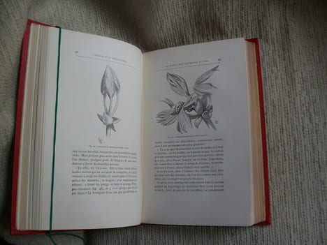 HISTOIRE D'UN DESSINATEUR. Comment on apprend à dessiner.. VIOLLET LE DUC