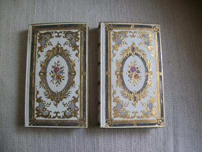 LE PORTEFEUILLE DU JEUNE AMATEUR de la Nature, de l'Histoire et de l'Art ou description méthodique des sites et des monuments les plus remarquables EUROPE.