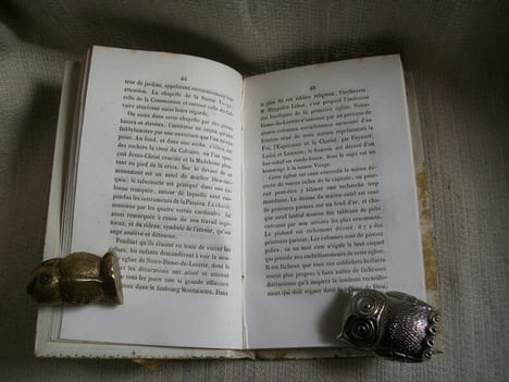 LE PORTEFEUILLE DU JEUNE AMATEUR de la Nature, de l'Histoire et de l'Art ou description méthodique des sites et des monuments les plus remarquables ...