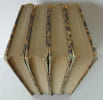 ANNEE (Antoine). Le livre noir de Messieurs Delavau et Franchet Moutardier 1829. ANNEE 
