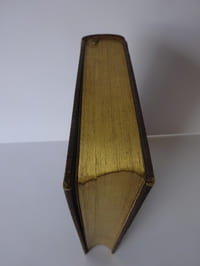 AUDEBRAND, Philibert. Un petit-fils de Robinson. Illustrations de Fath et Freema