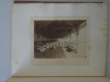LA BEDOLLIERE (Emile de), ROUSSET (Ildefonse). Le Bois de Vincennes 1866. LA BEDOLLIERE (Emile de), ROUSSET (Ildefonse)