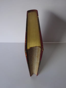 SCOTT, Walter. Kenilworth. Dessins de Lematte, D. Maillard, V. Poirson... 1881. SCOTT, Walter