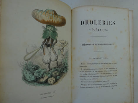 NUS (Eugène), MERAY (Antony), VARIN (Amédée). L'Empire des légumes. 1851. NUS (Eugène), MERAY (Antony), VARIN (Amédée)